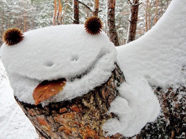 Необычная зима