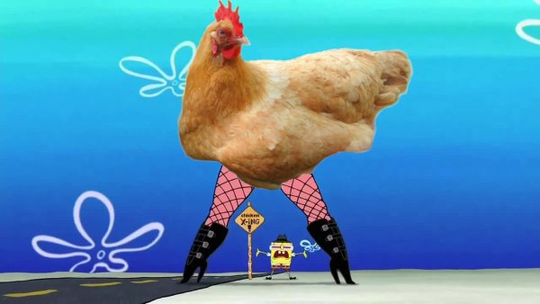 Гламурная курица