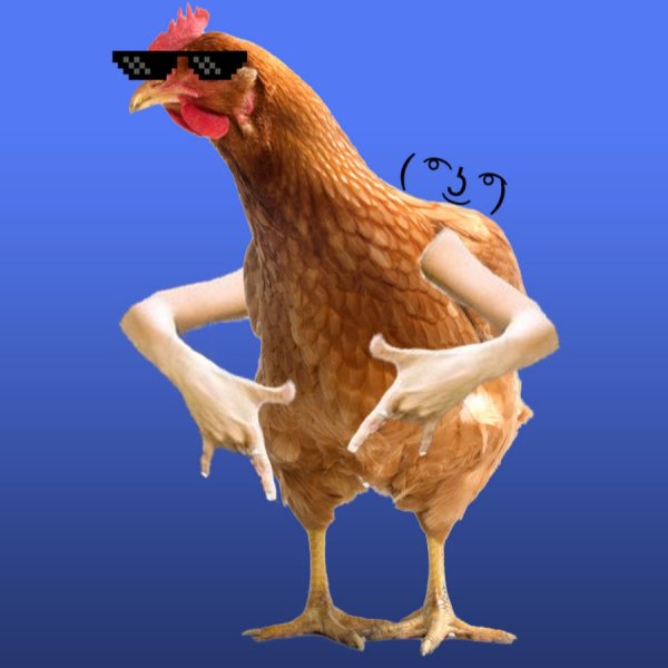 Курица в очках