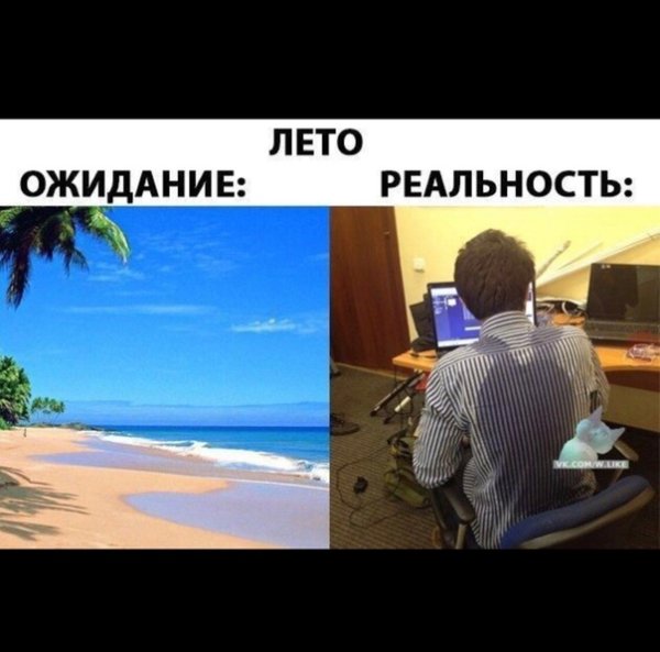 Отпуск ожидание и реальность