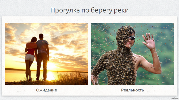 Ожидание реальность