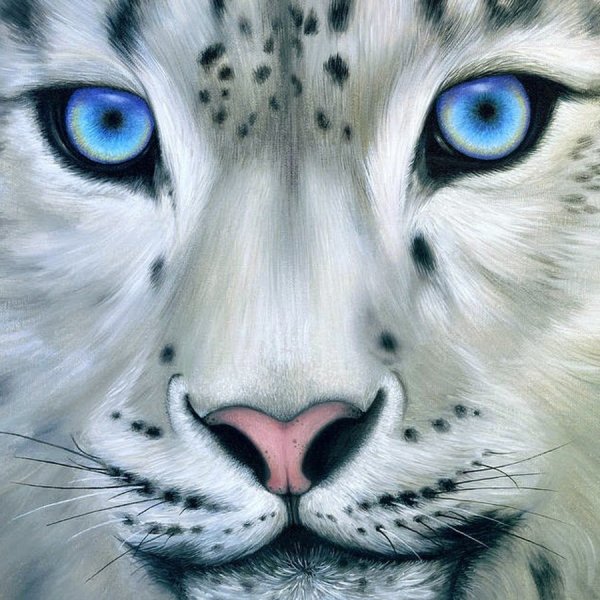 Белый тигр Ирбис