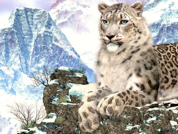 Осетинский снежный Барс