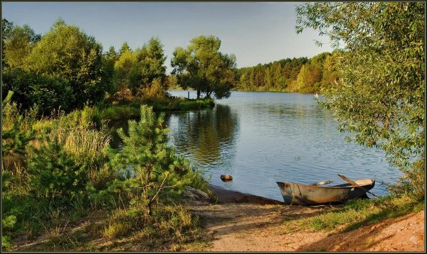 Берег озера в деревне