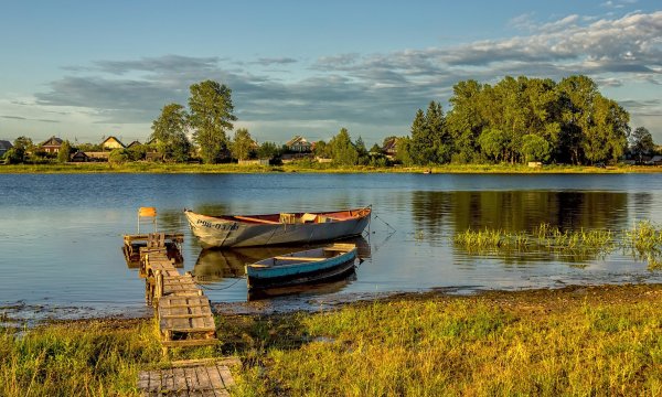 Лето река деревня