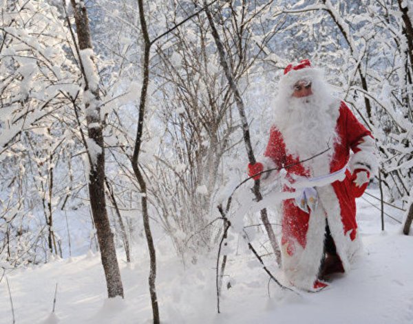 Дед Мороз в зимнем лесу