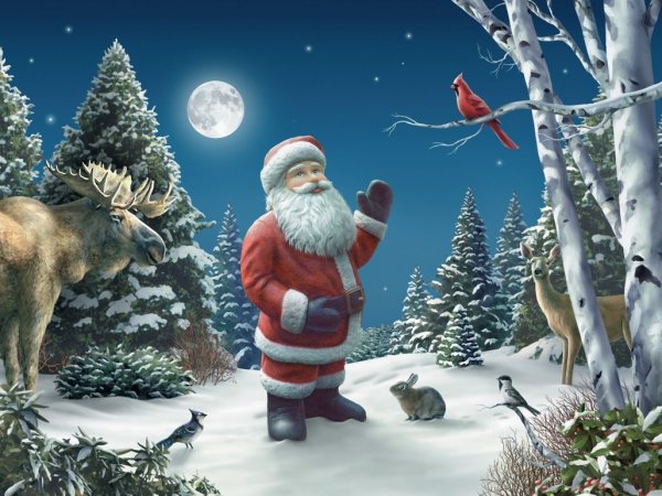 Зима дед Мороз