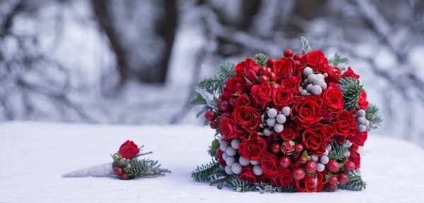 Красивые зимние цветы