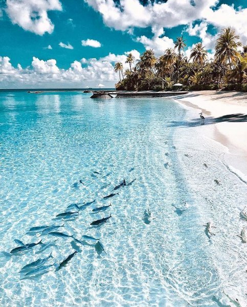 Голубая Лагуна Саона Доминикана