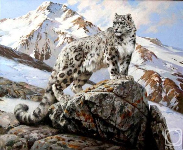 Снежный Барс Тянь Шань