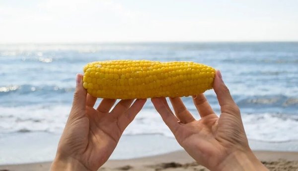 Кукуруза вареная на море