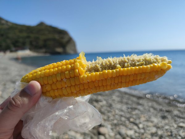 Кукуруза на пляже