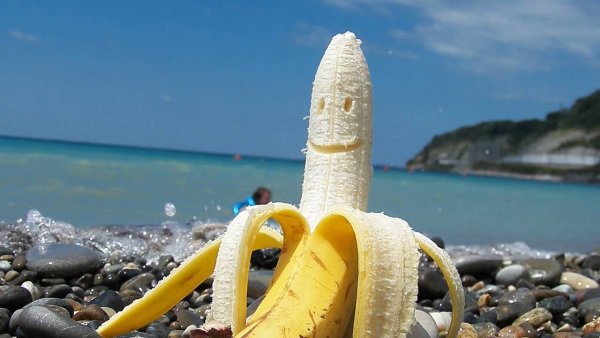 Человек на море с кукурузой