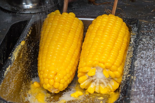 Вареная кукуруза на палочке