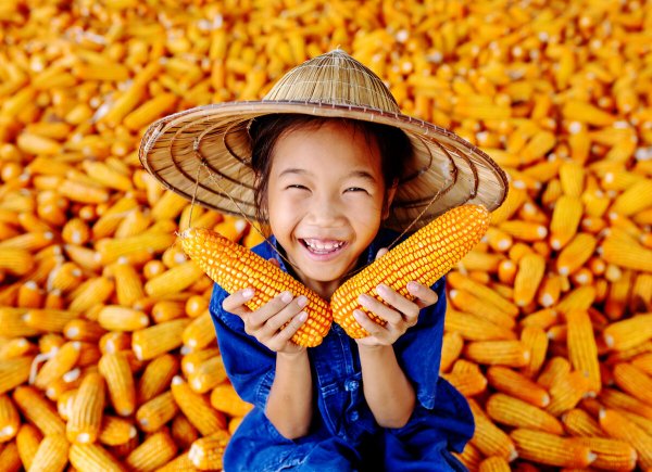 Продавец кукурузы