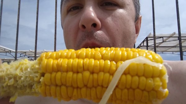 Кукуруза вареная на море