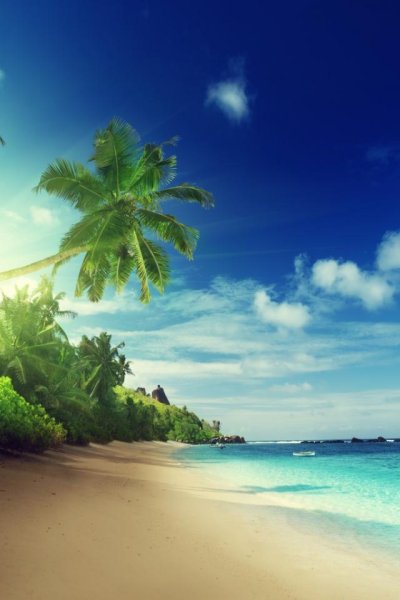 Природа, море вертикальные