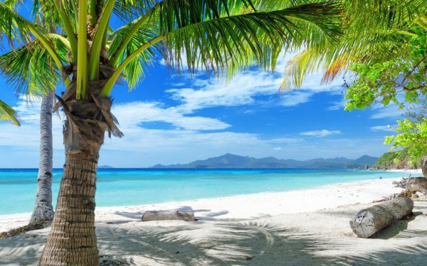 Красивая природа пляж