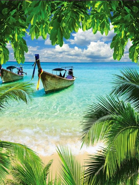 С тропический рай