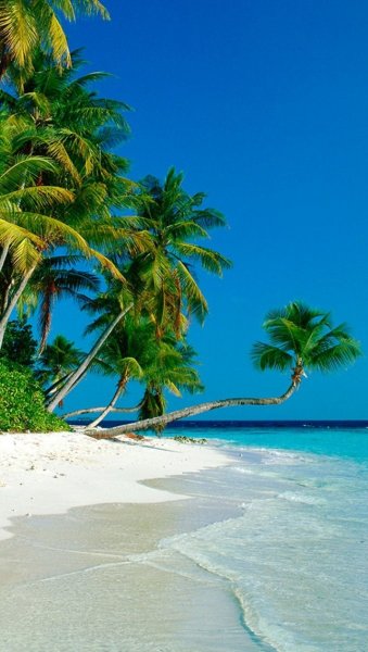 Тропический пляж