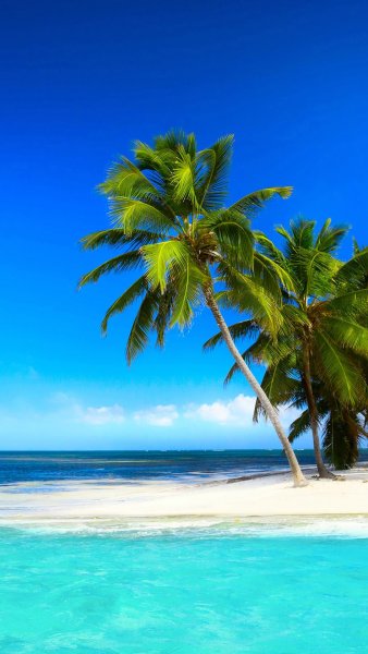 Тропическое море