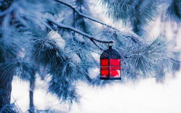 Зимняя тематика