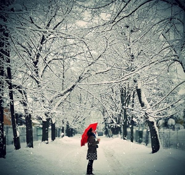 Зима на аву