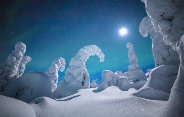 Завораживающая красота зимы