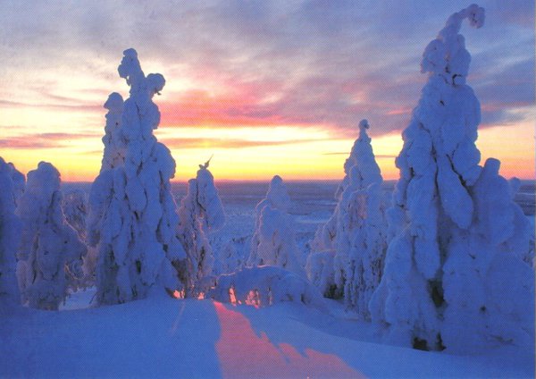 Снежная Лапландия