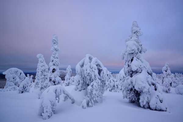 Лапландия снег