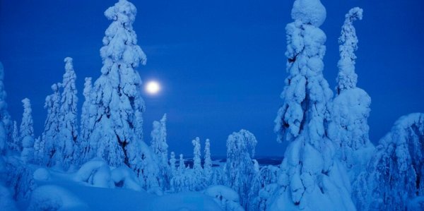 Каамос картинки