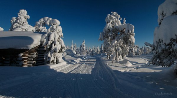 Сказочная зима Финляндия