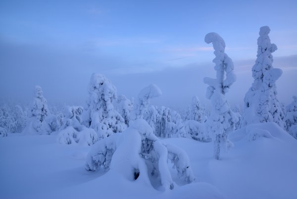 Россия Снежная Страна