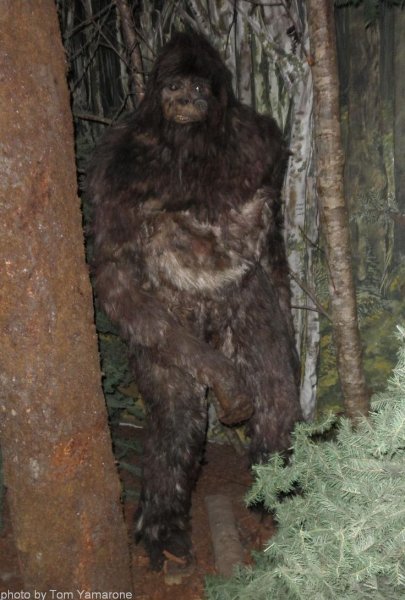 Бигфут Йети