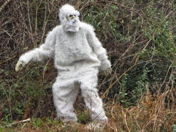 Йети снежный человек Новосибирск