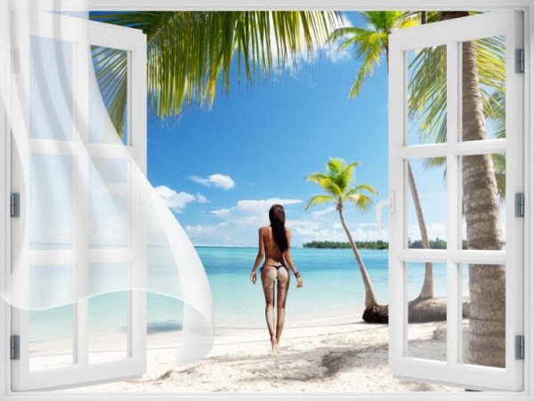 Вид из окна на море и пальмы