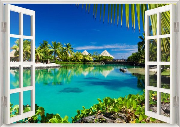 Окно в тропики