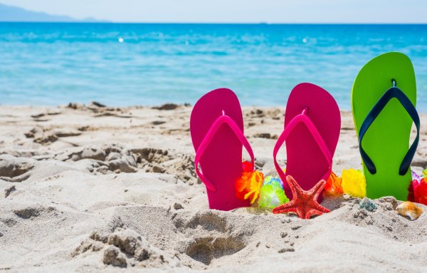 Сланцы на песке