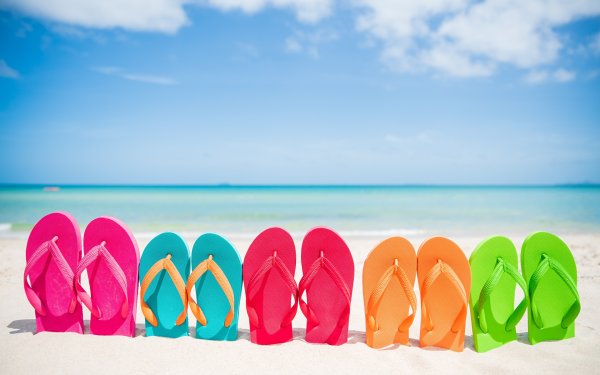 Национальный день шлепанцев