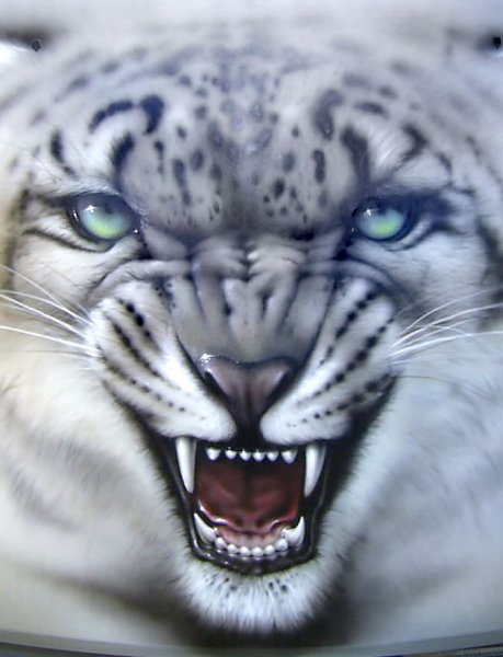 Снежный Барс рычит