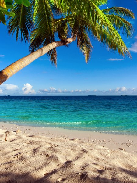 Красивый пляж