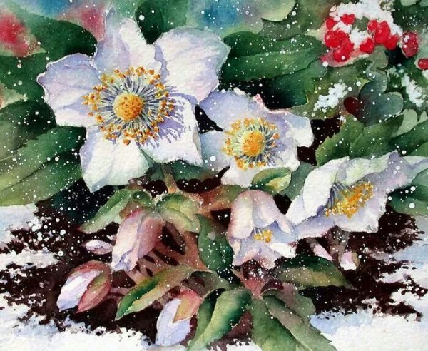 Изумительные акварели Ann Mortimer