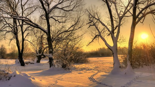 Зима пейзаж