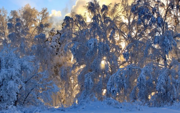 Красивая зима