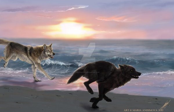 Бегущий волк арт