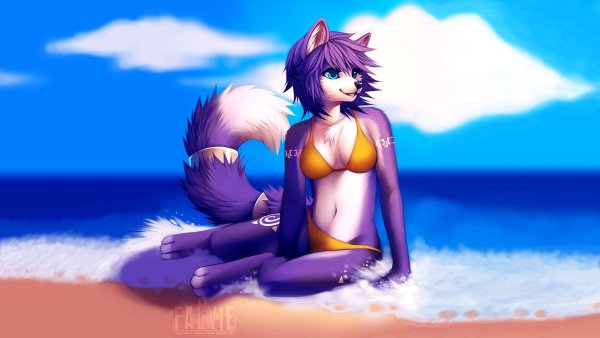 MCTRANCEFOX акулы