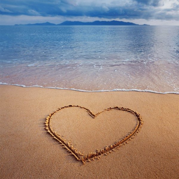 Сердца Мори