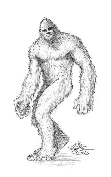 Sasquatch - Sasquatch