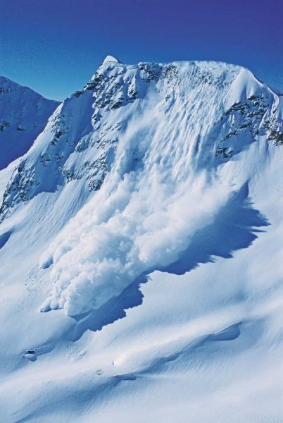 Ловина или лавина