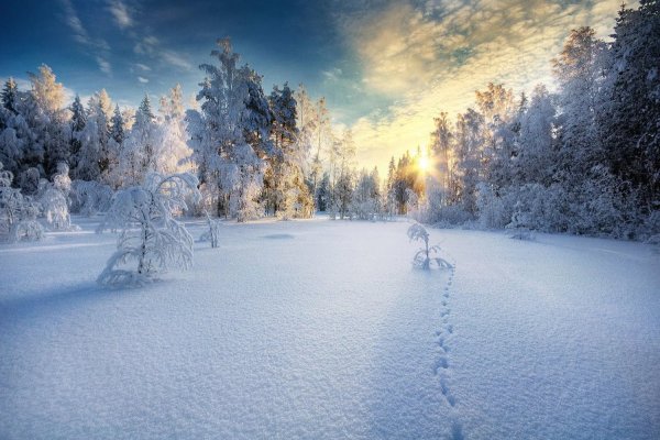 Снежная красота зимы